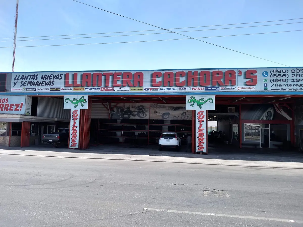 LLANTERA CACHORAS SUCURSAL TERÁN