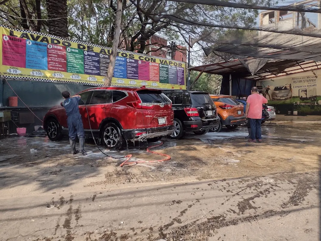 LAVADO DE AUTOS CON VAPOR