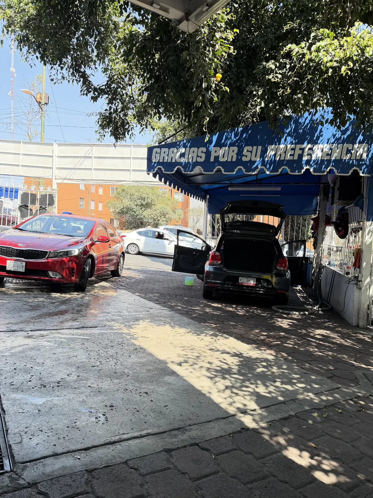Lavado y estética automotriz EL TRÉBOL