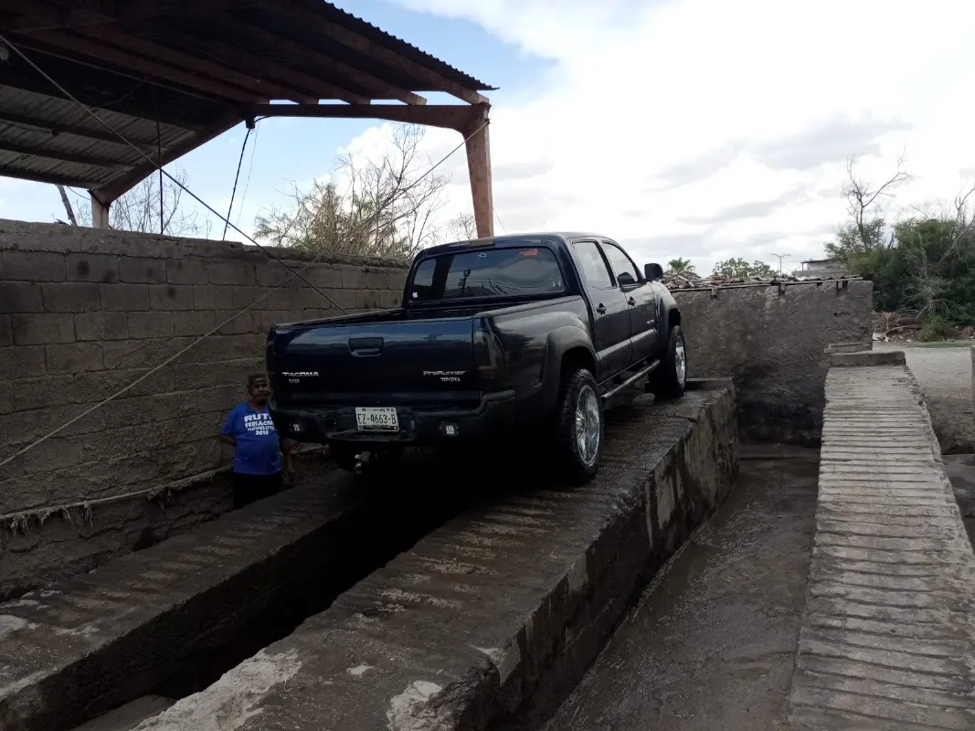 Lavado y Engrasado PECINA