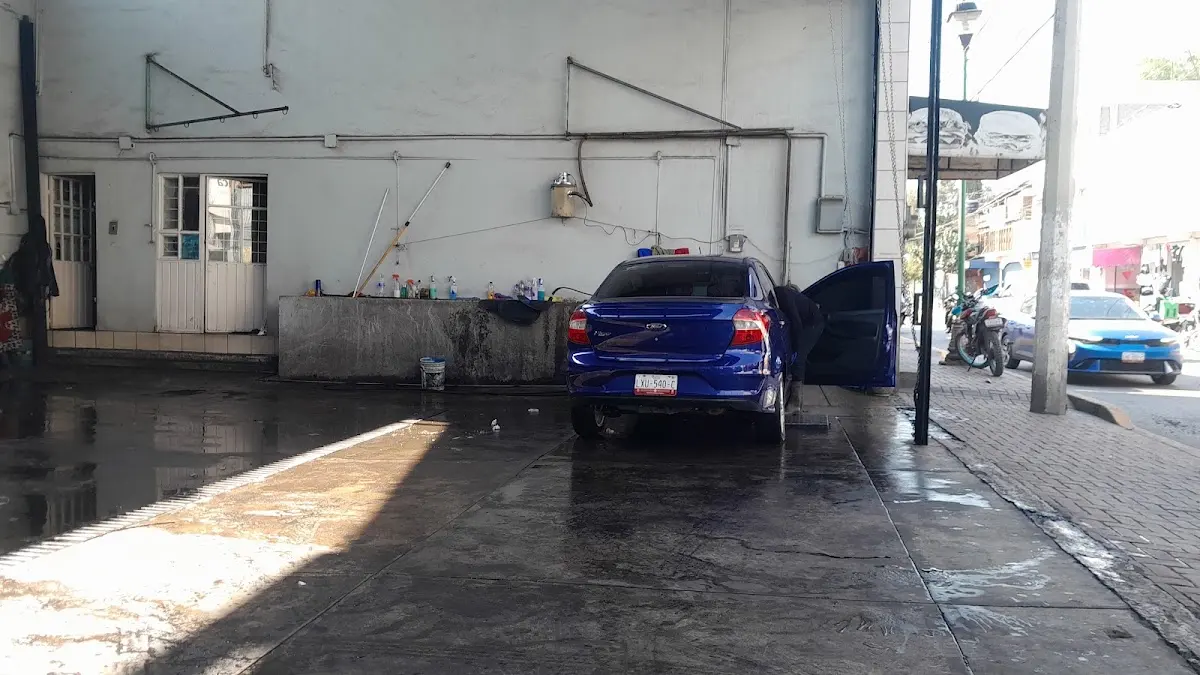 Lavado Y Engrasado