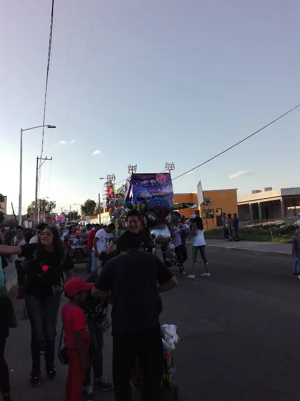 Lavado, engrasado y mecánica "Pepitos".