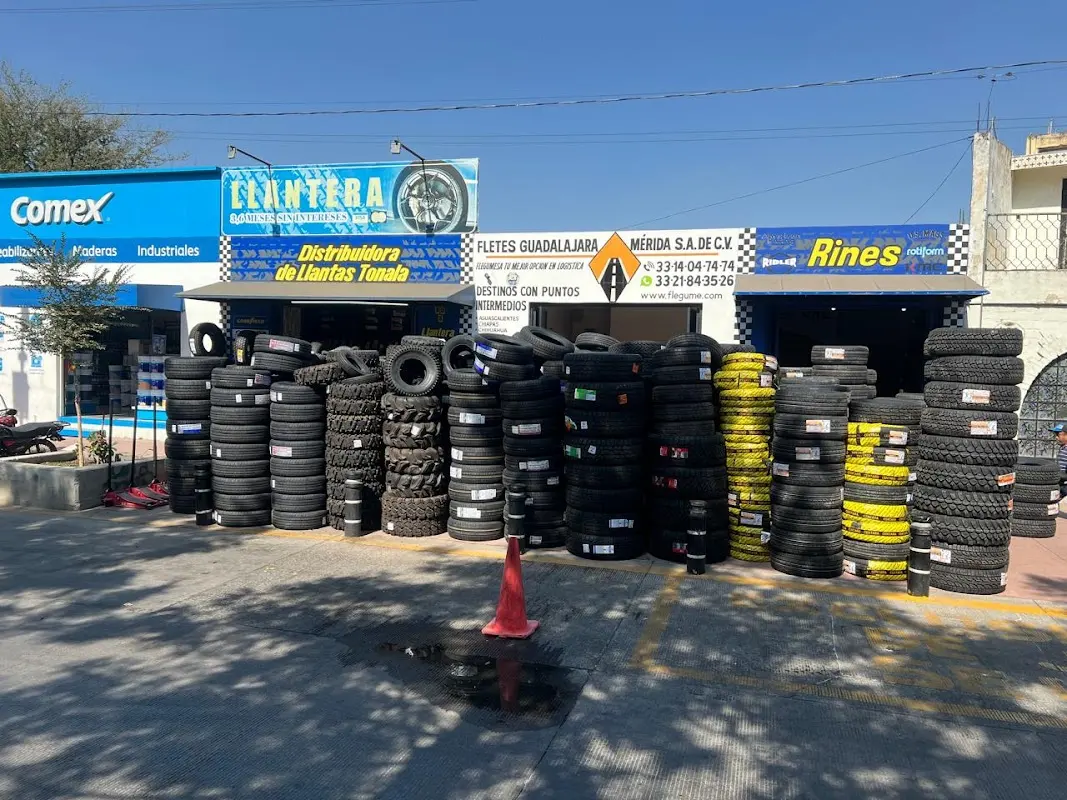 DISTRIBUIDORA DE LLANTAS TONALA SUC RINES