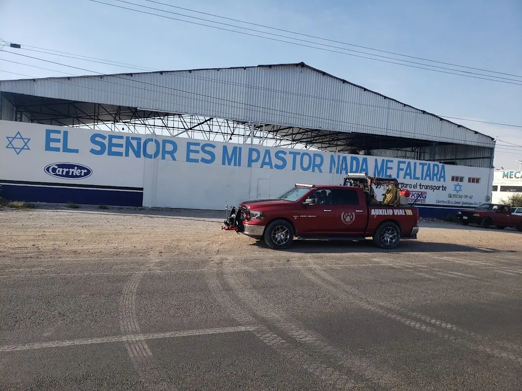 Llantera el pobre gato #1 🐱