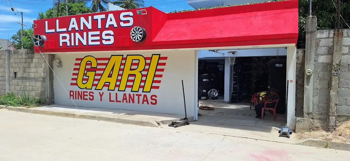 Rines y llantas gari