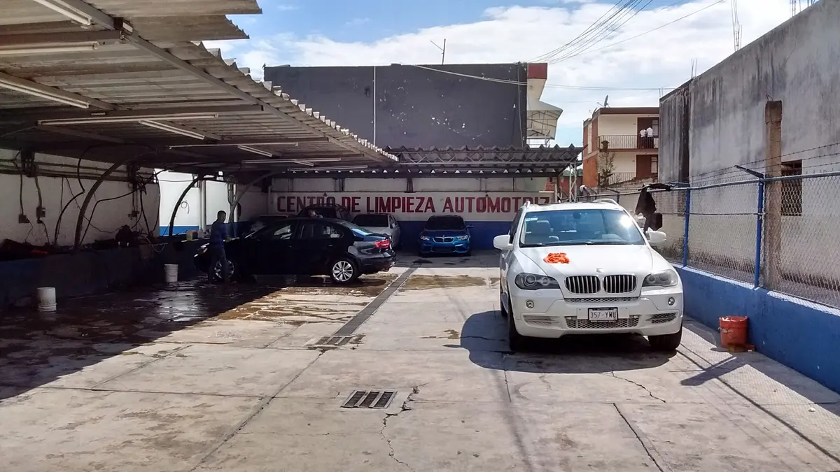 Auto Lavado Lobo