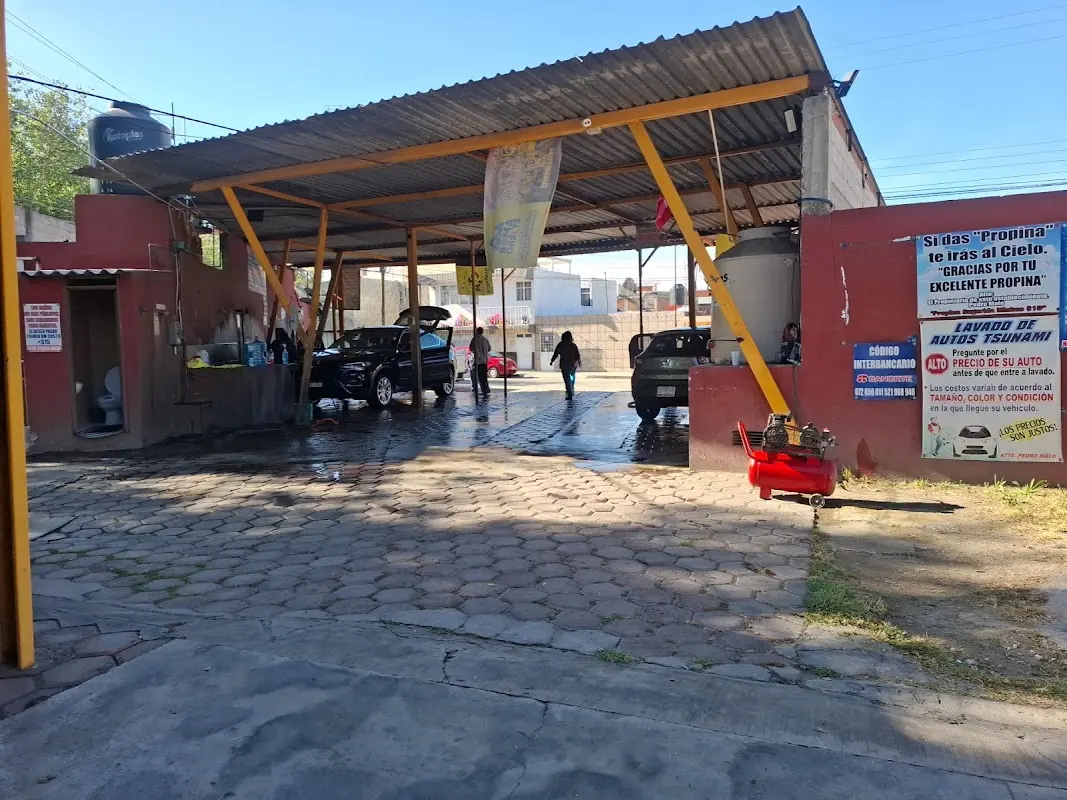 Lavado De Autos Tsunami