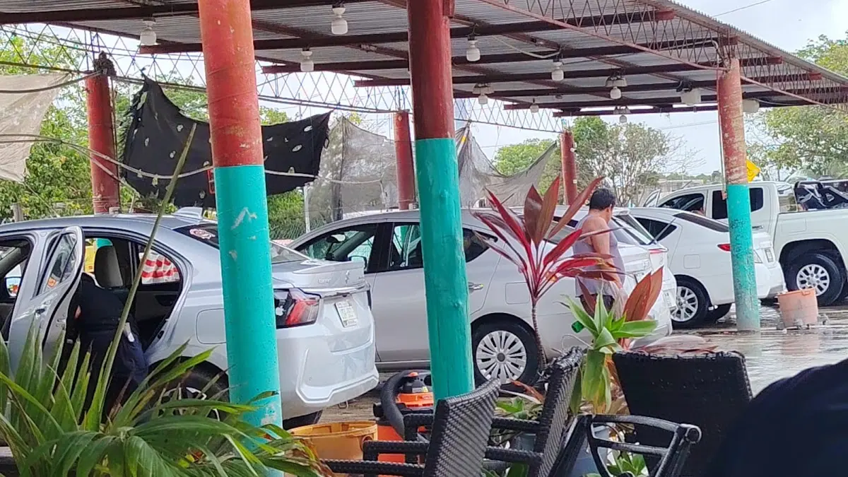 Lavadero De Autos El Panzon
