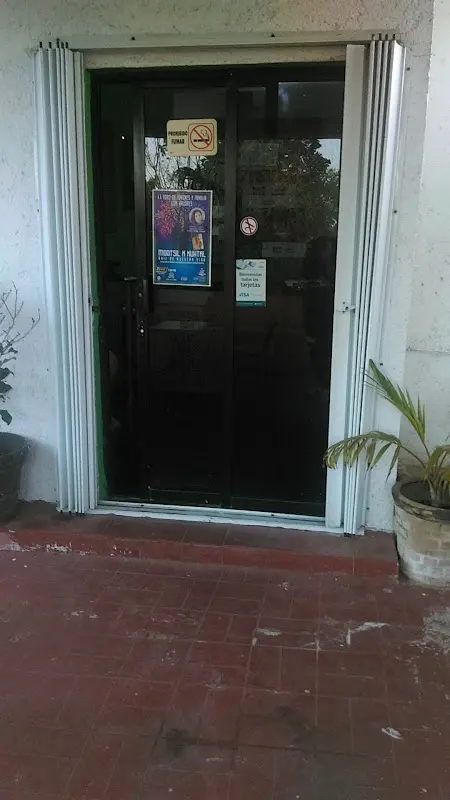 Pericos Tours