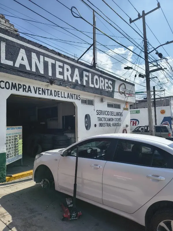 LLANTERA FLORES