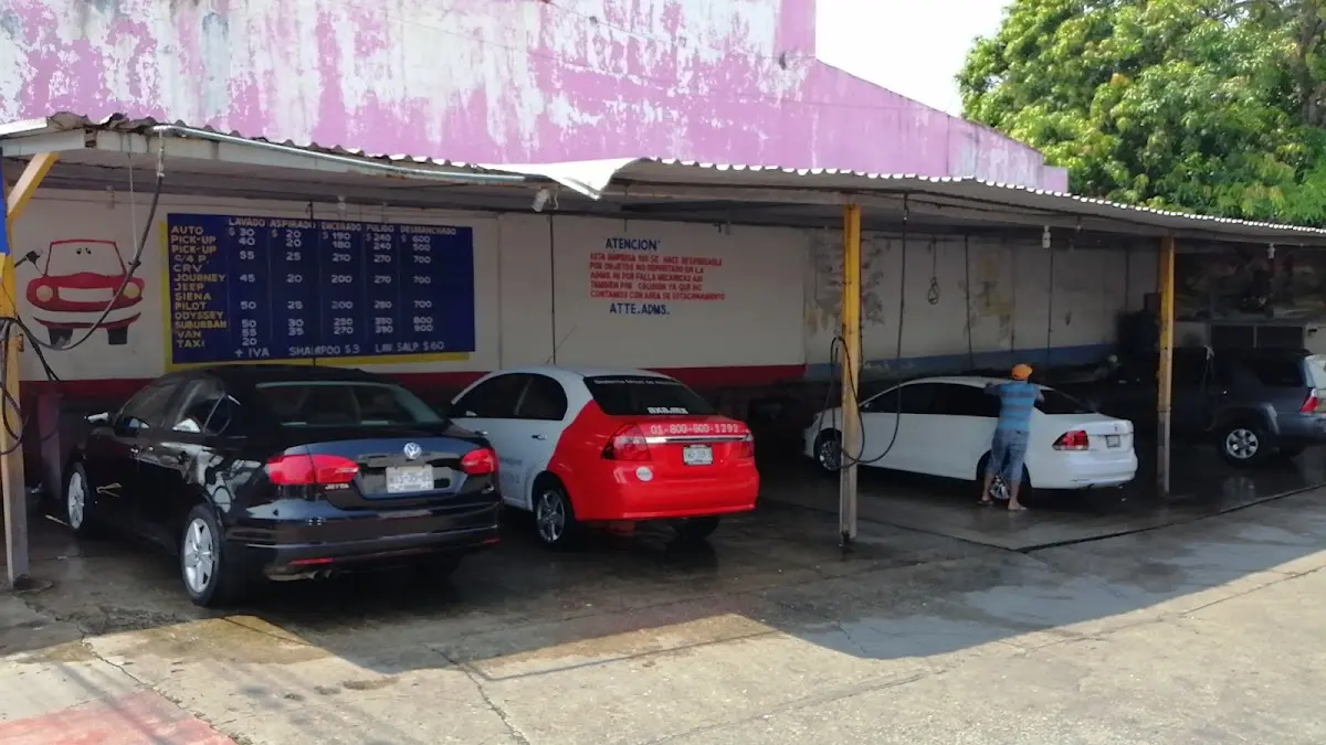 Lavadora De Autos "Roca"