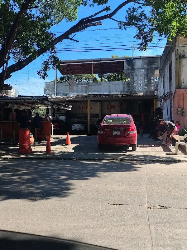 Auto Limpio
