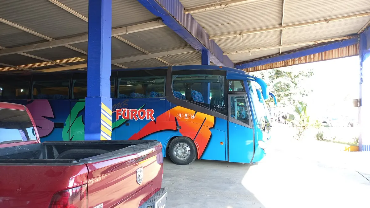 Furor Renta de Autobuses y Vans