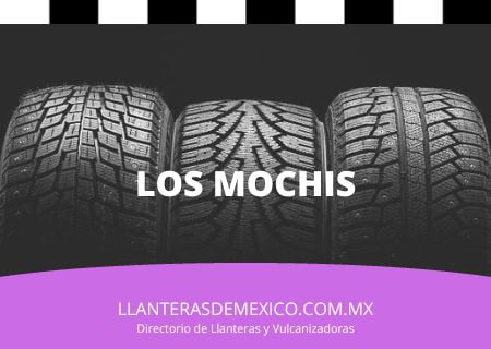 Castil Servicios Y Garantias Sucursal Los Mochis