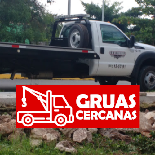 Grua Zavala Morelia