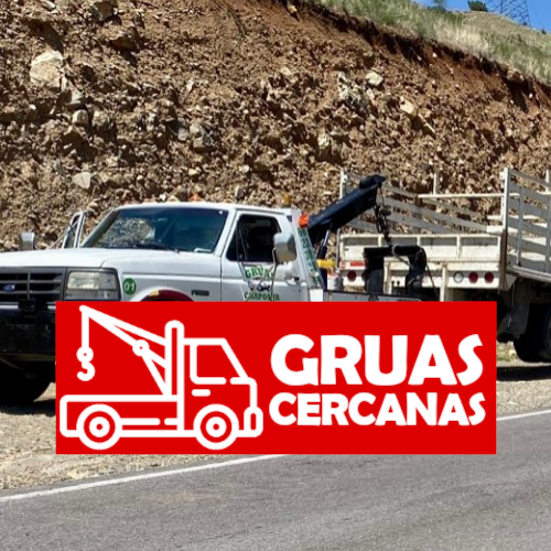 Gruas Chapos'jr