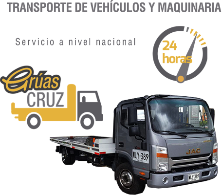 Gruas Cruz V