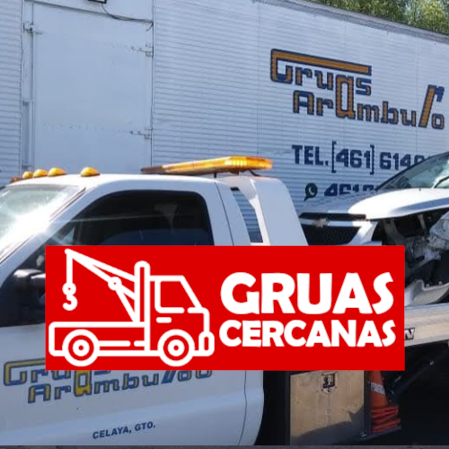  Grúas en Celaya