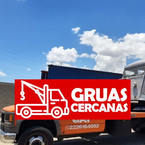 Gruas Flores Precios Accesibles