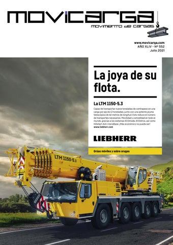 Gruas Santos (rene Gonzalez Gomez)