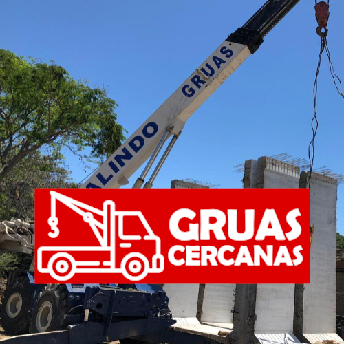 Gruas Tepa