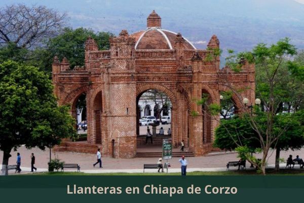 Hospital De Llantas Fiisam ( Seccionadora De Llantas )