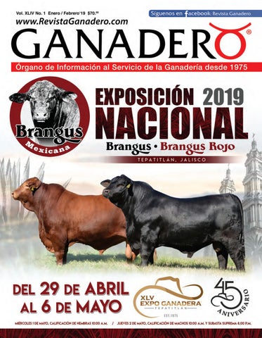 Llantas Y Servicios Los Ganaderos