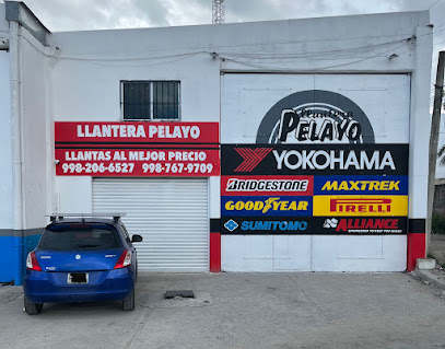 Llantera Pelayo Jacarandas