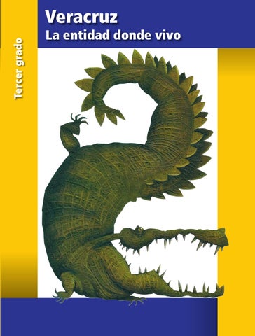 Localiza Veracruz