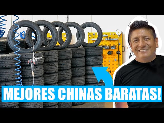 Michelin Puras Llantas