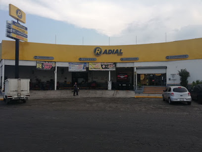 Radial Llantas Colima